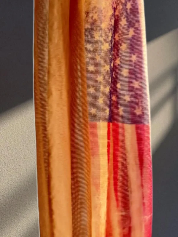 Pantyhose: American Dream - Image 6