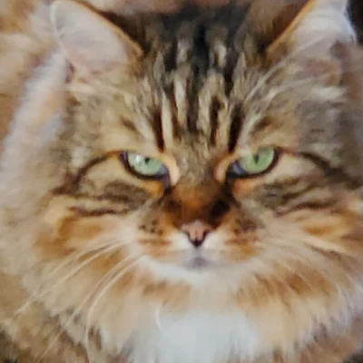 Julie